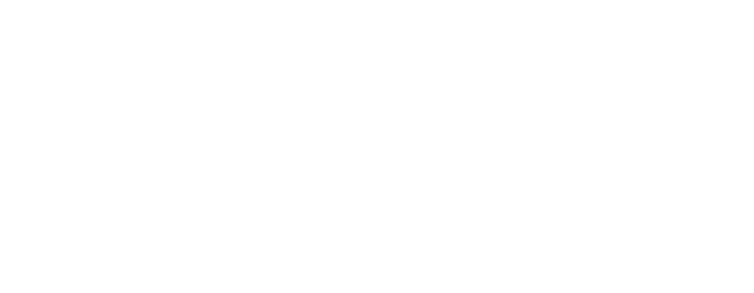Simon-Kucher White Logo