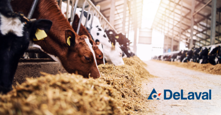 DeLaval Case Study Header