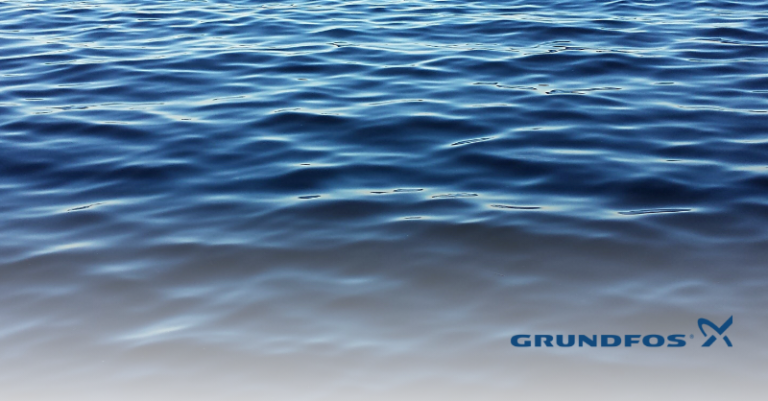 Grundfos Case Study