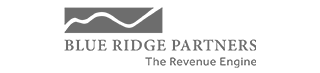 Vendavo Partners Blue Ridge Partners Logo