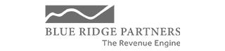 Vendavo Partners Blue Ridge Partners Logo