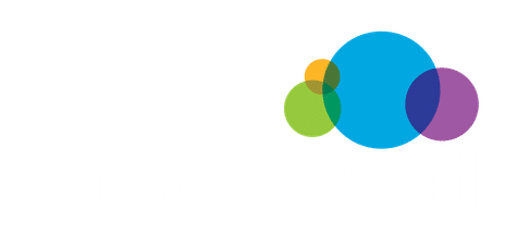 Calliduscloud Logo In White Color